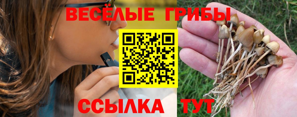Псилоцибиновые грибы прущие грибы Советский