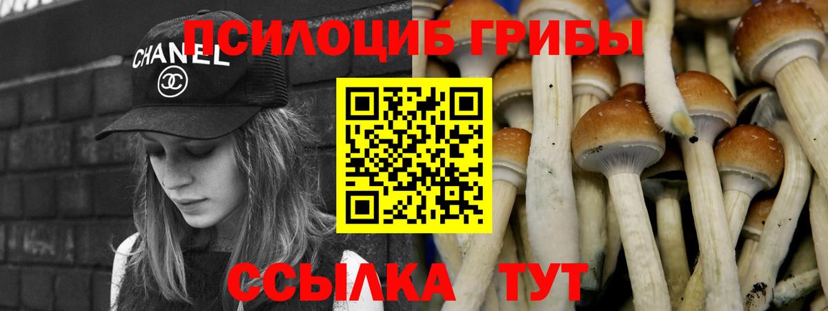 как найти закладки  Вход с VPN  Советский  Галлюциногенные грибы Cubensis 